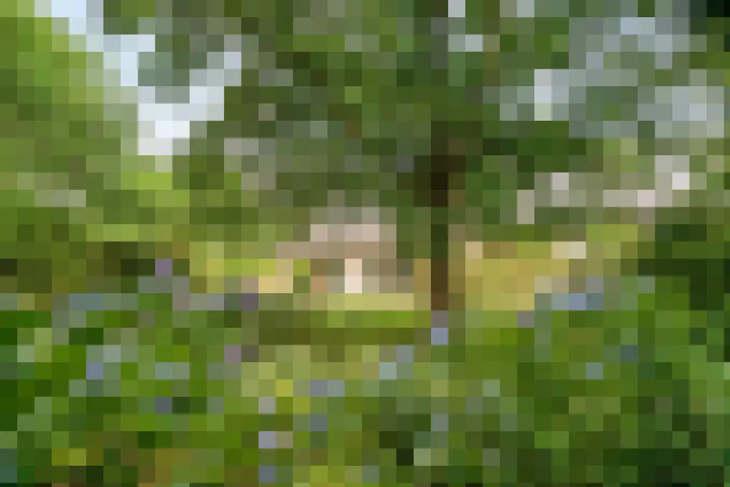 Diederikstraat 63 Gemert thumbnail 66