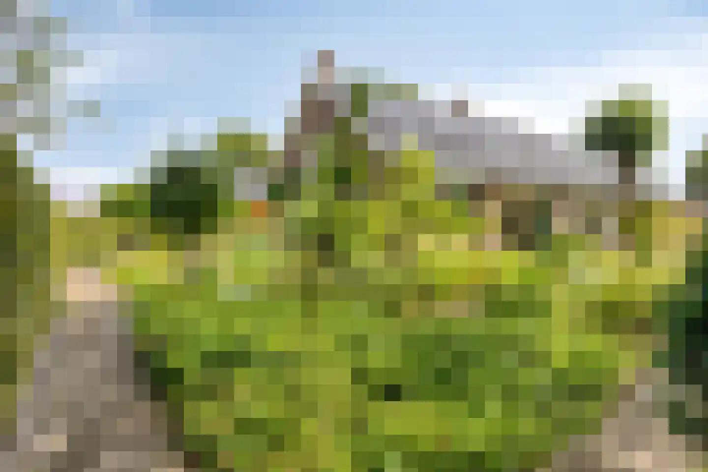Diederikstraat 63 Gemert thumbnail 67