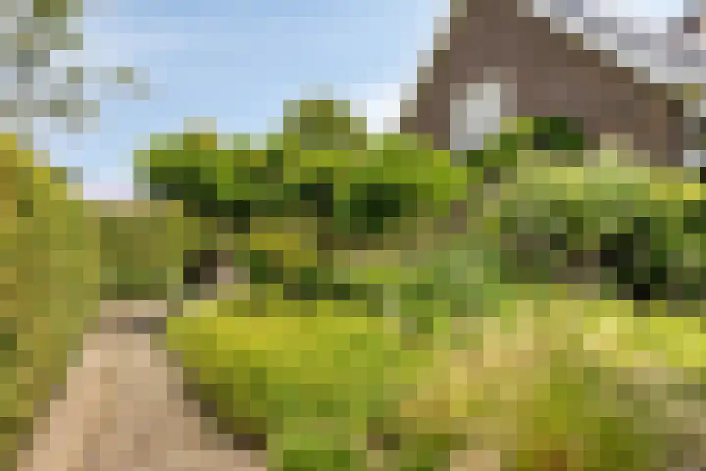 Diederikstraat 63 Gemert thumbnail 68