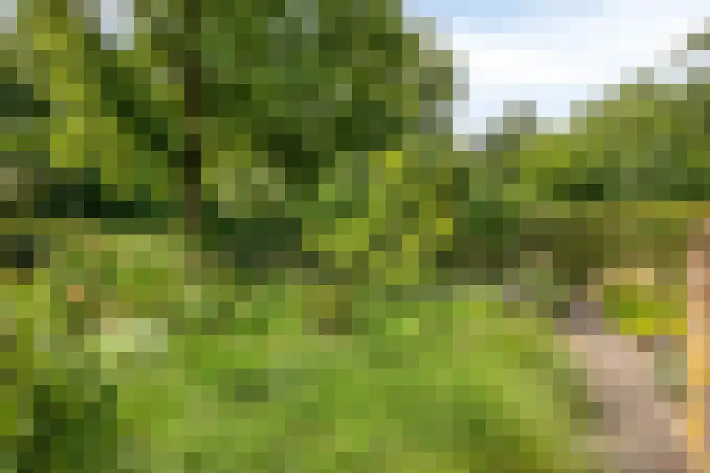 Diederikstraat 63 Gemert thumbnail 69