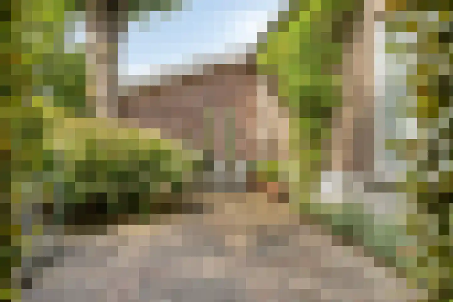 Diederikstraat 63 Gemert thumbnail 7