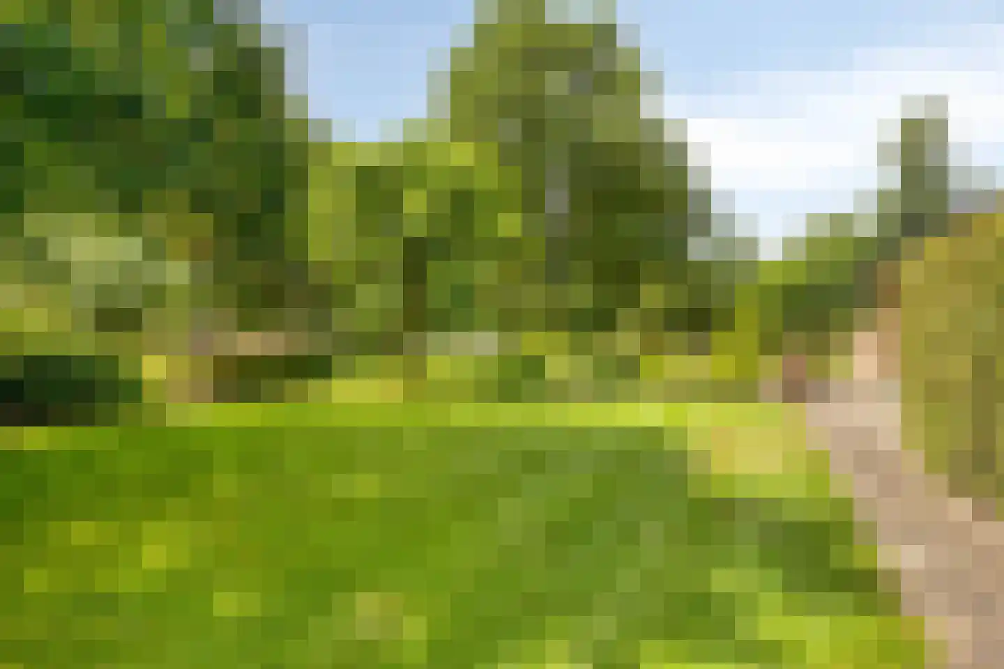 Diederikstraat 63 Gemert thumbnail 71