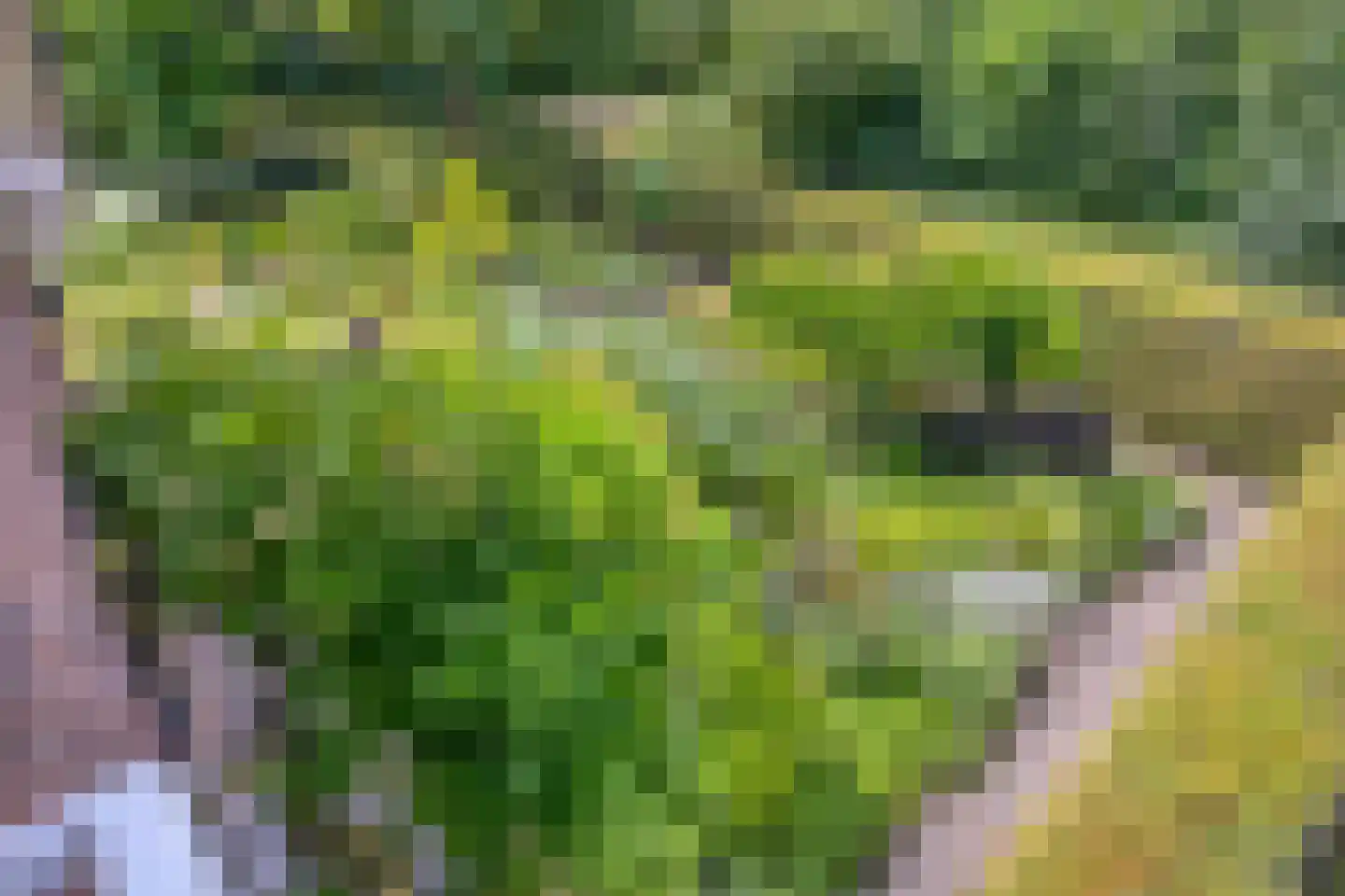 Diederikstraat 63 Gemert thumbnail 72