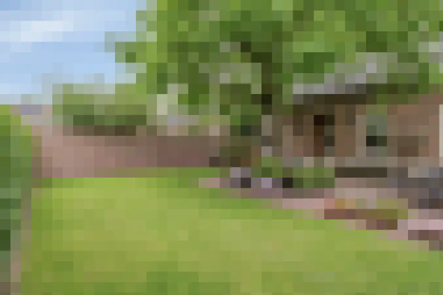 Diederikstraat 63 Gemert thumbnail 73