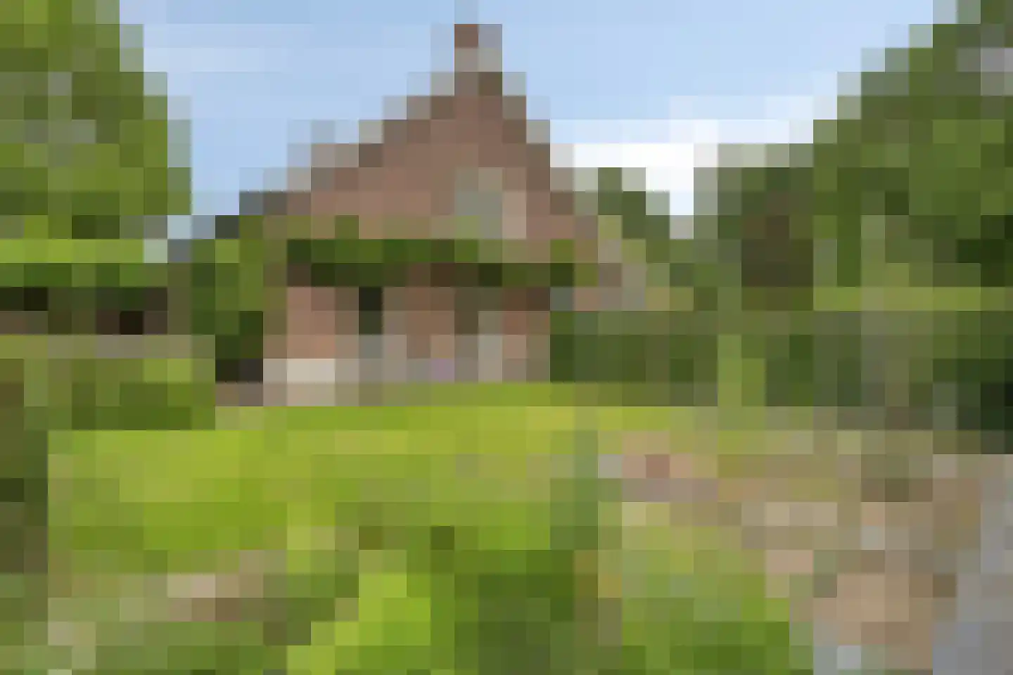 Diederikstraat 63 Gemert thumbnail 74