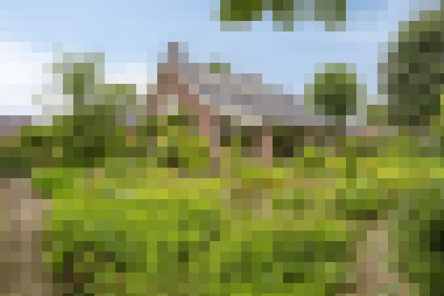 Diederikstraat 63 Gemert thumbnail 76