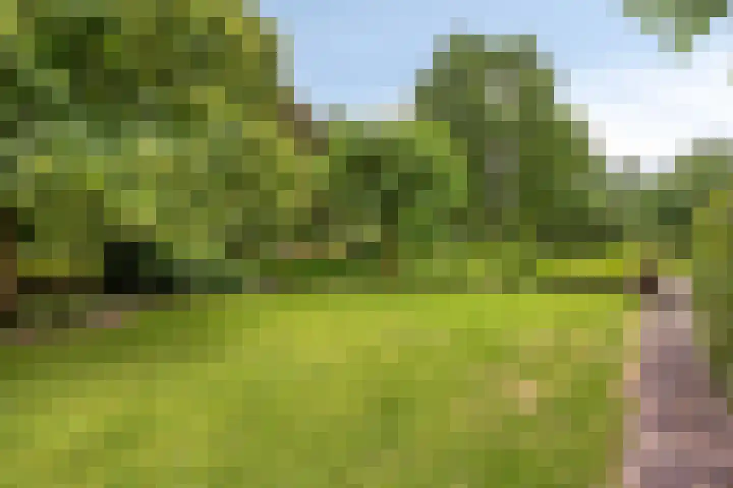 Diederikstraat 63 Gemert thumbnail 78