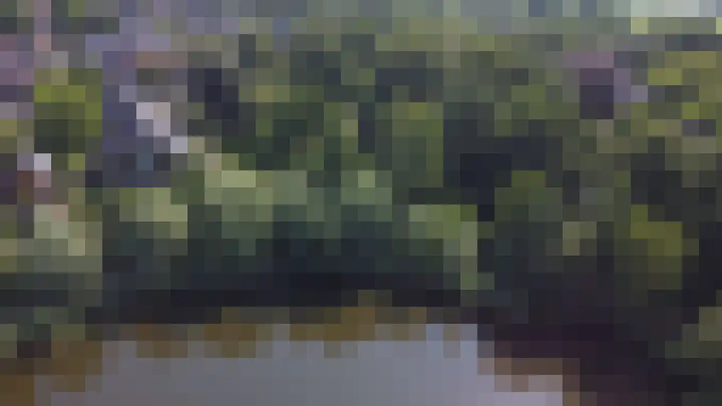 Diederikstraat 63 Gemert thumbnail 81