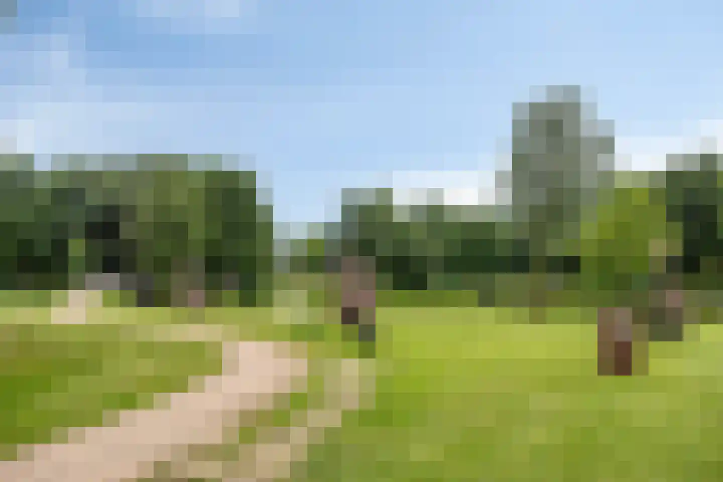 Diederikstraat 63 Gemert thumbnail 85