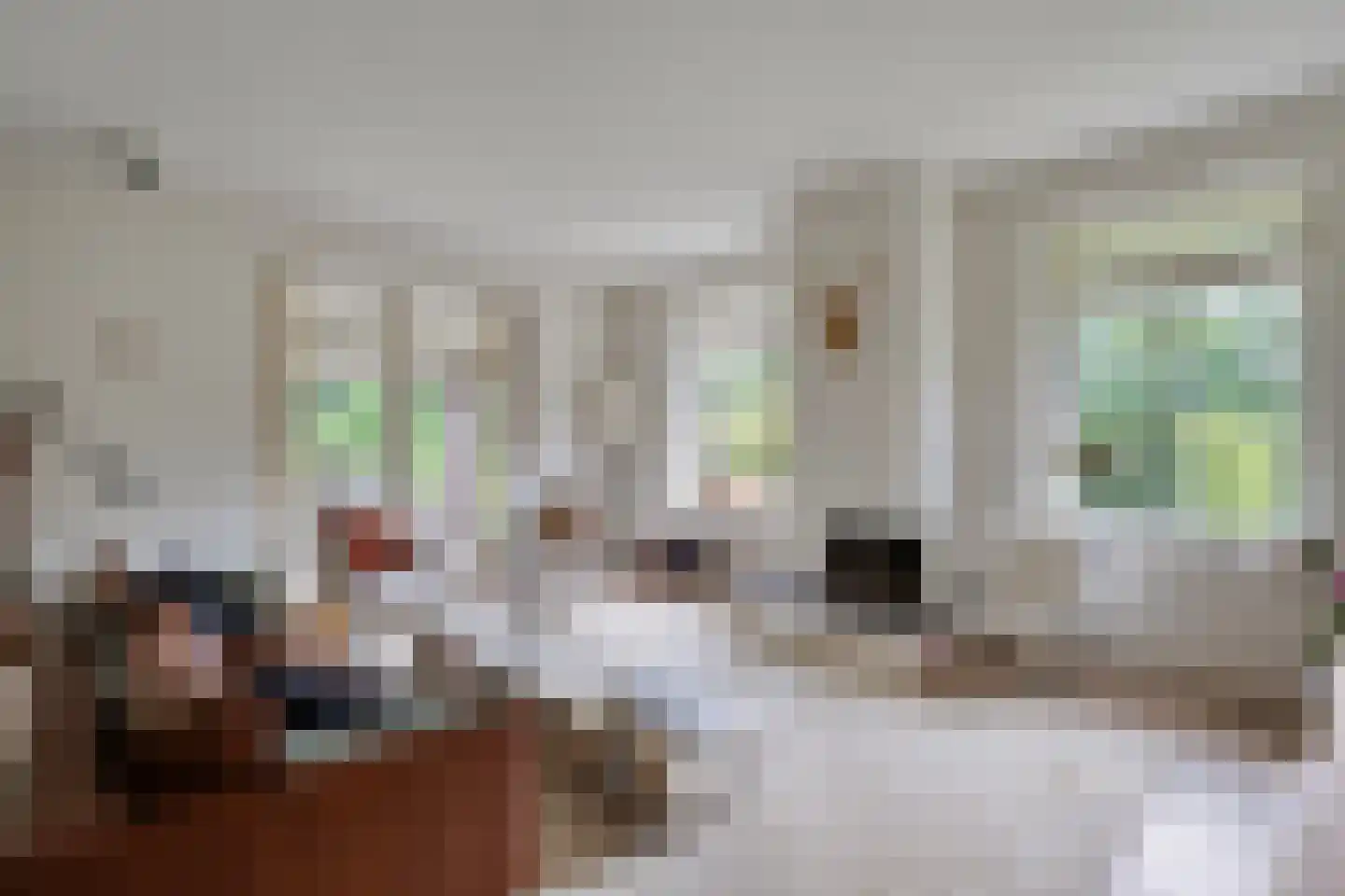 Diederikstraat 63 Gemert thumbnail 87
