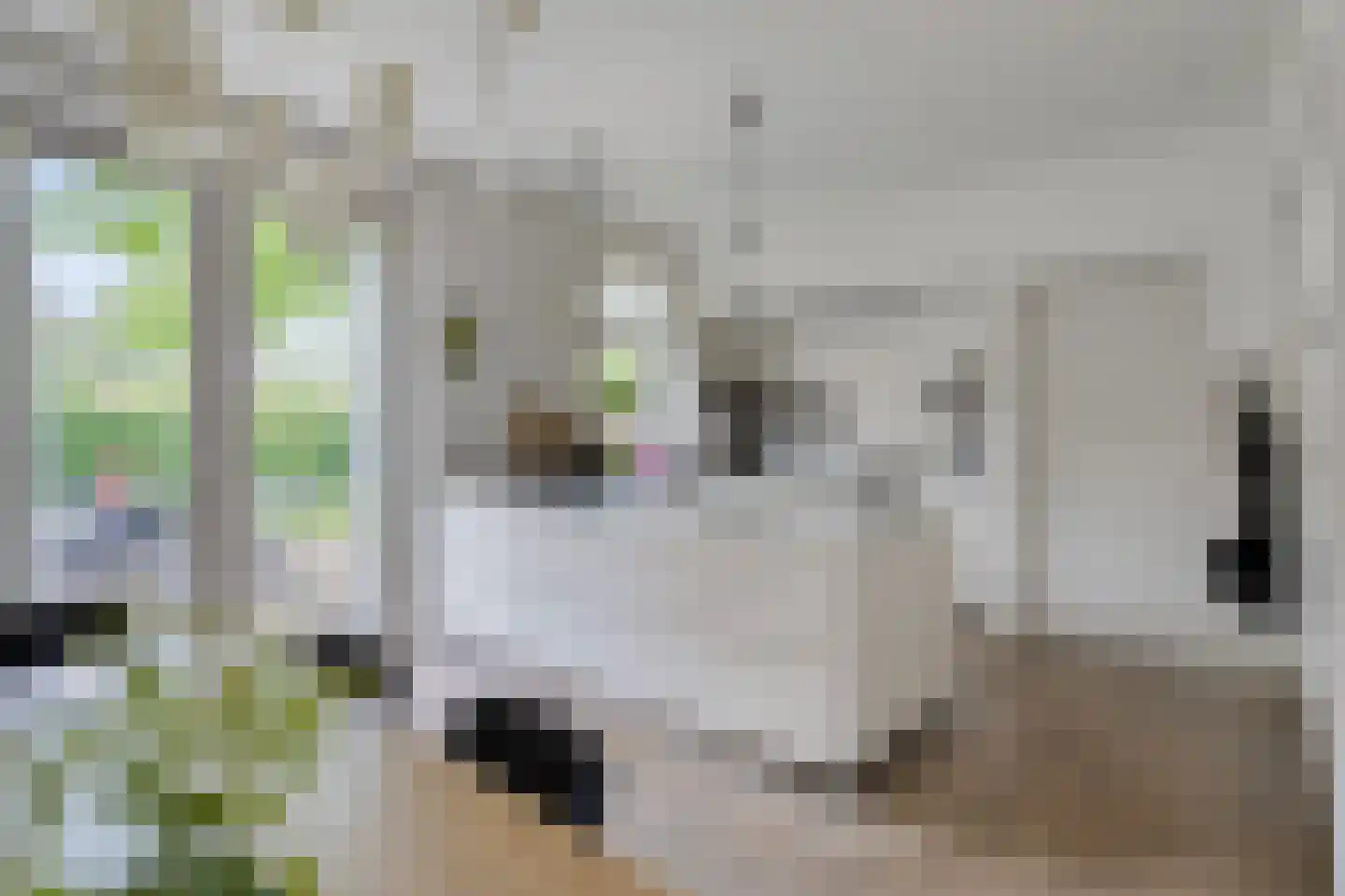 Diederikstraat 63 Gemert thumbnail 88