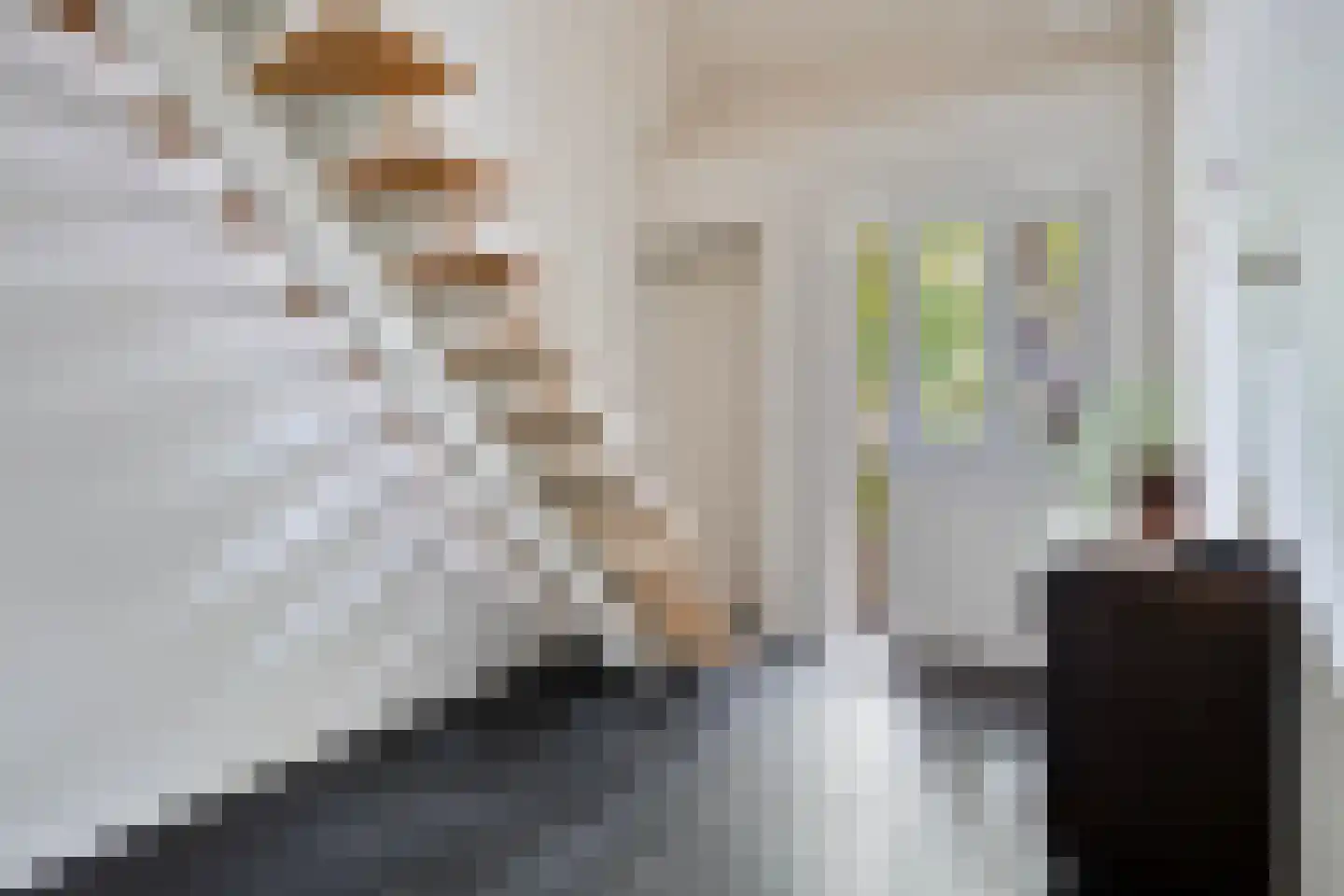 Diederikstraat 63 Gemert thumbnail 9