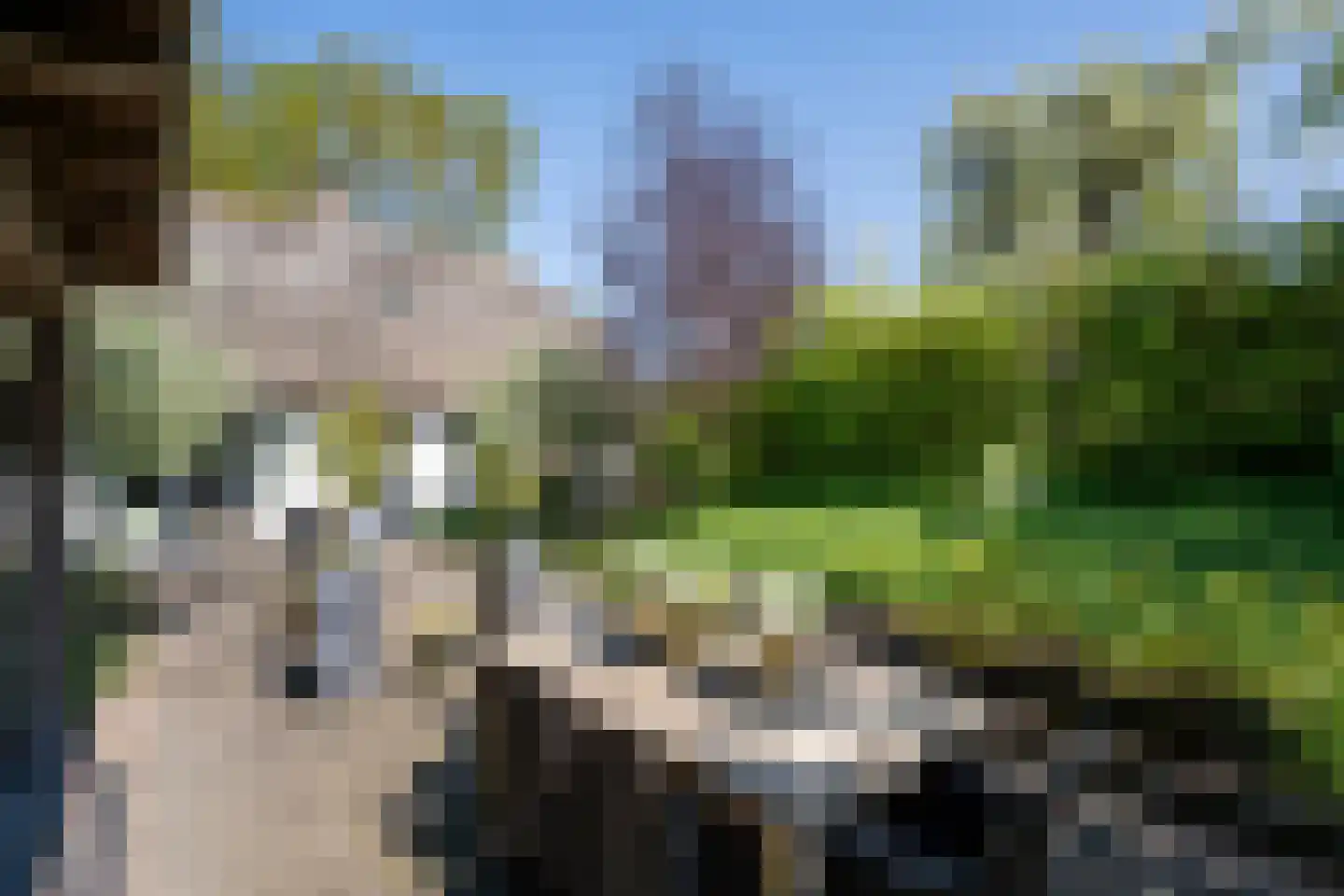 Diefdijk 44 b Leerdam thumbnail 13