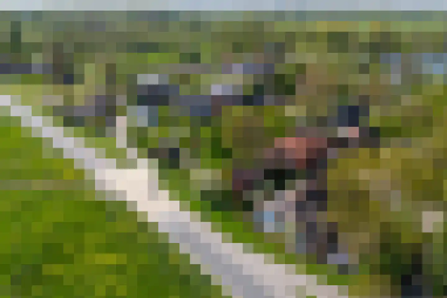 Diefdijk 44 b Leerdam thumbnail 48