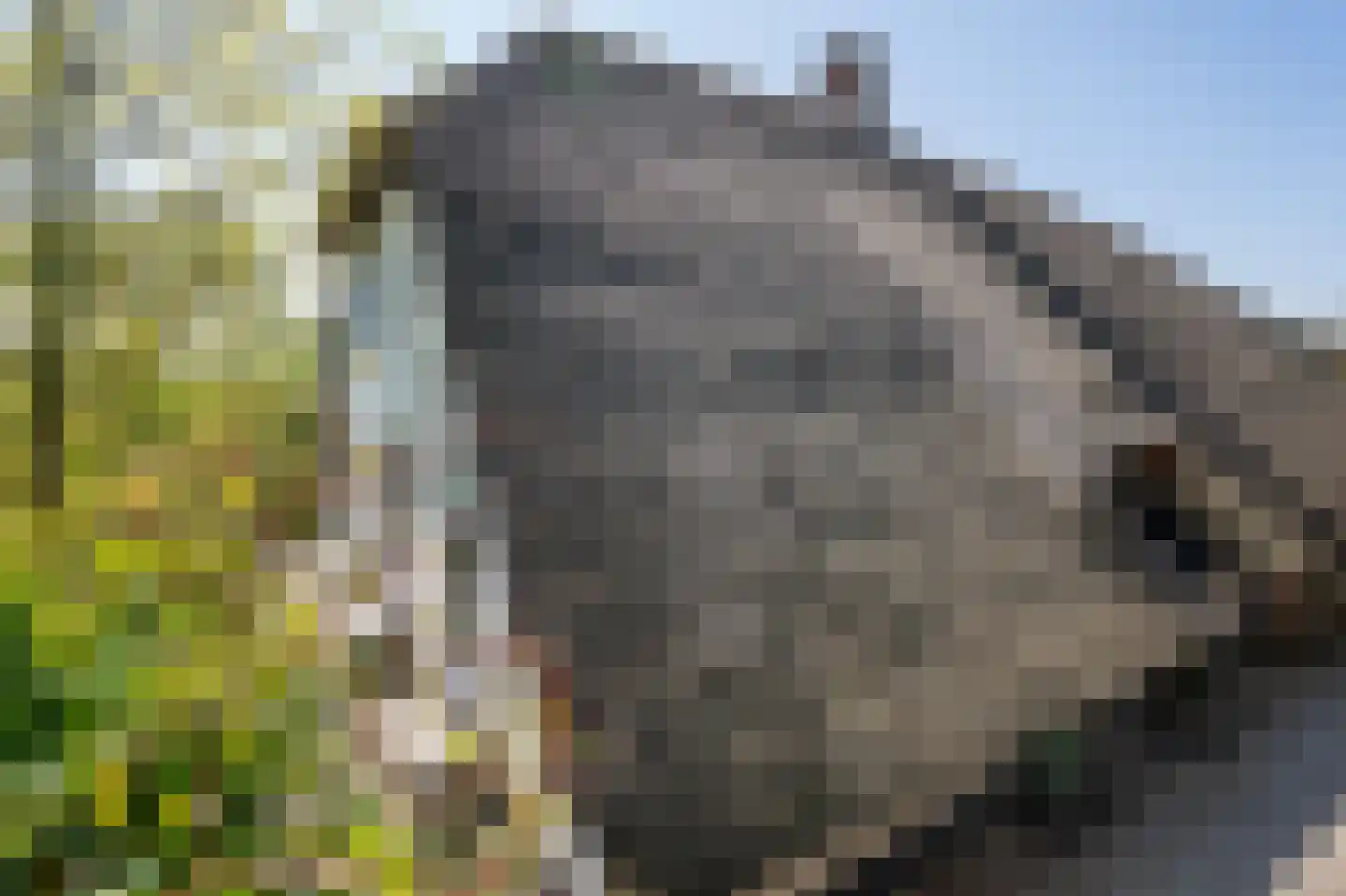Diefdijk 44 b Leerdam thumbnail 5