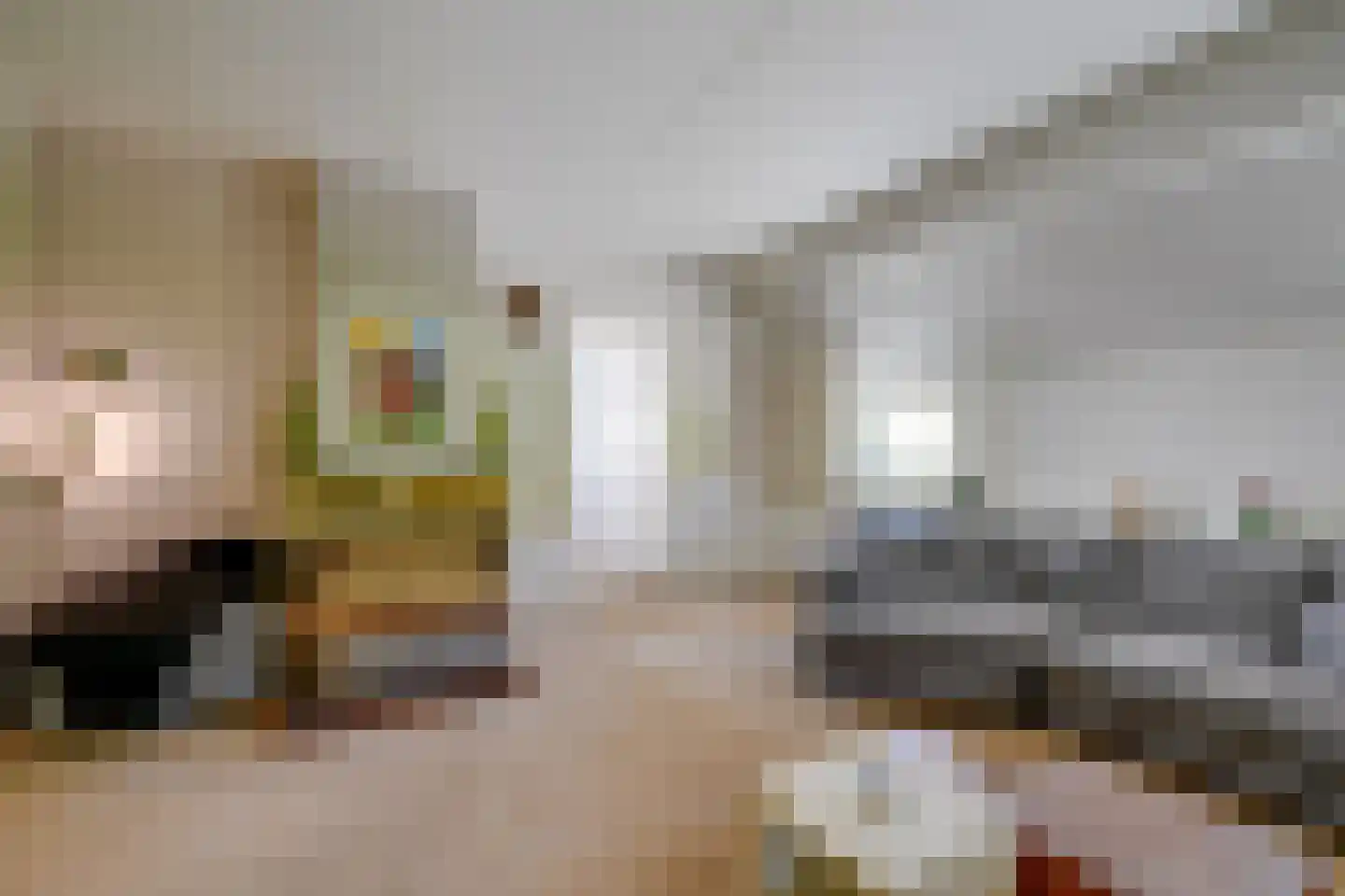Diefdijk 5 Zijderveld thumbnail 12