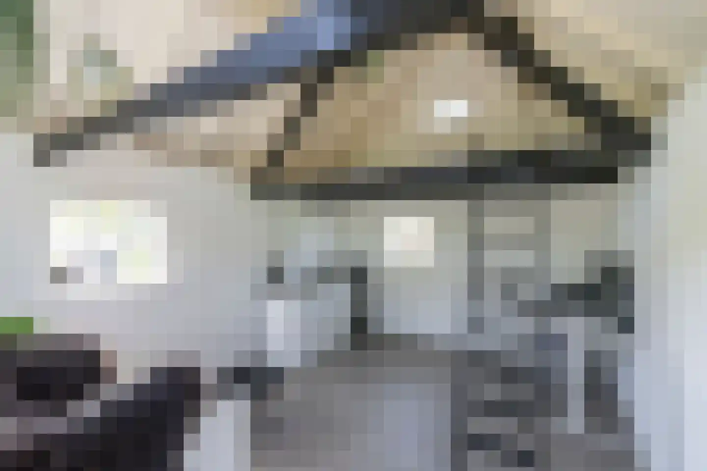 Diefdijk 5 Zijderveld thumbnail 21