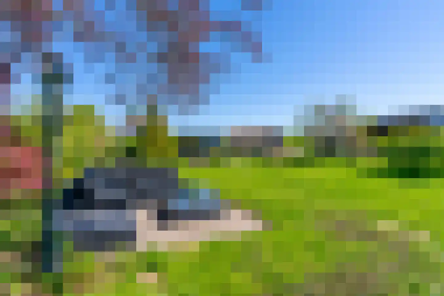 Diefdijk 5 Zijderveld thumbnail 27
