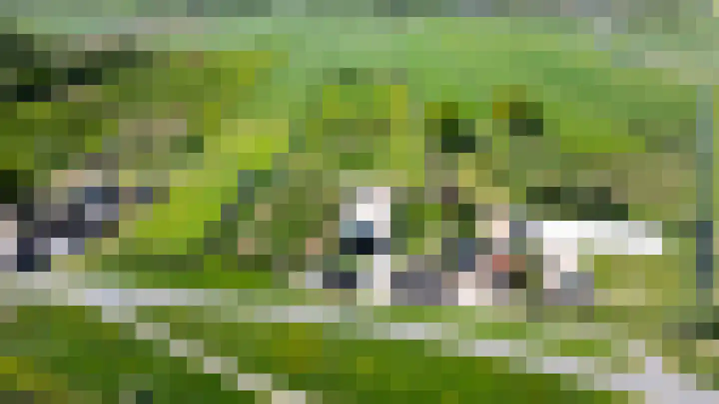 Diefdijk 5 Zijderveld thumbnail 4