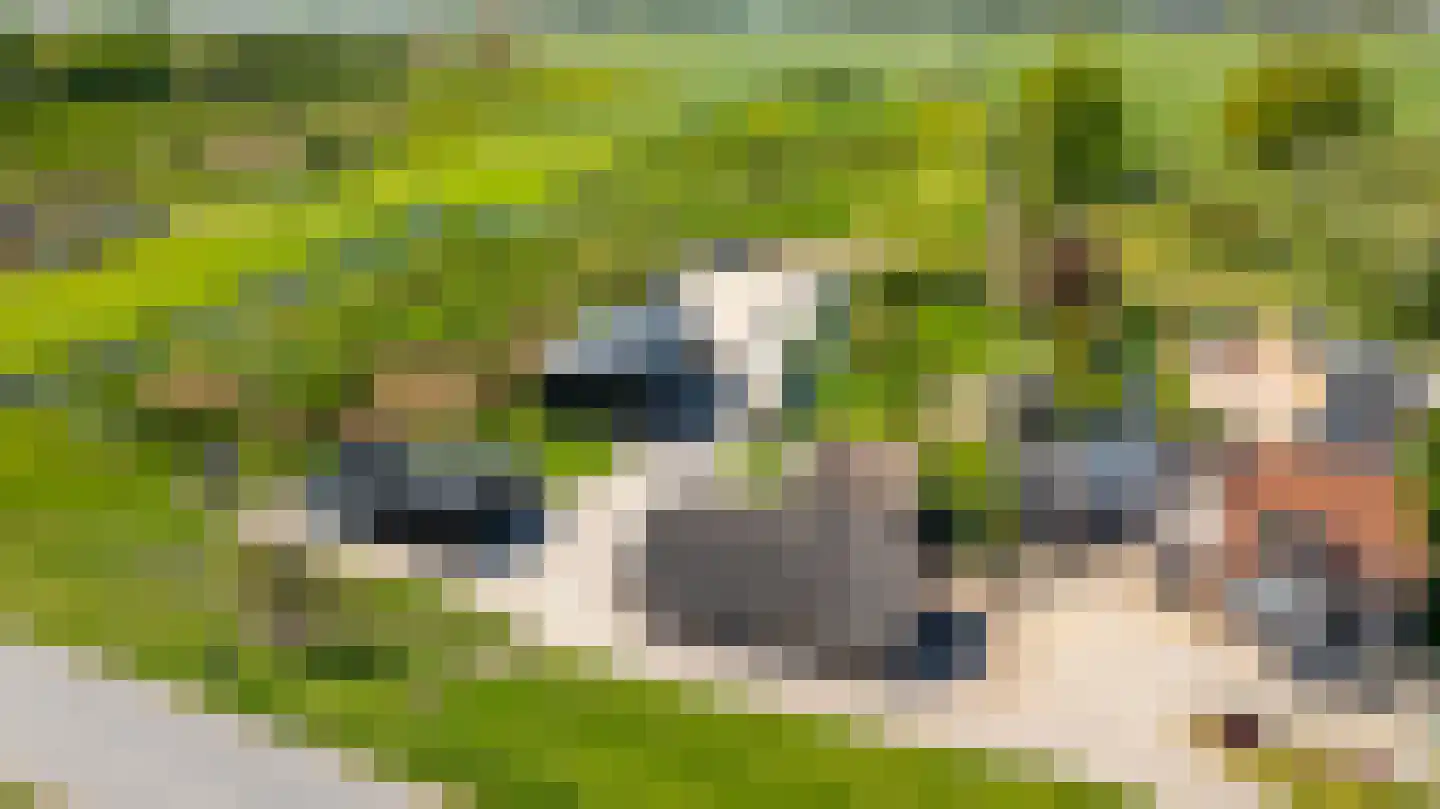 Diefdijk 5 Zijderveld thumbnail 6