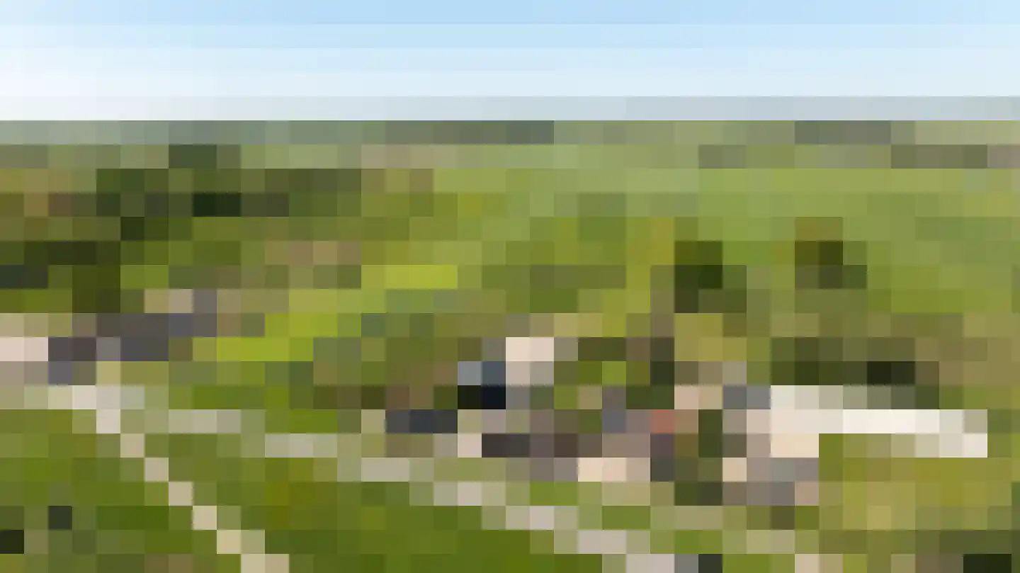 Diefdijk 5 Zijderveld thumbnail 7