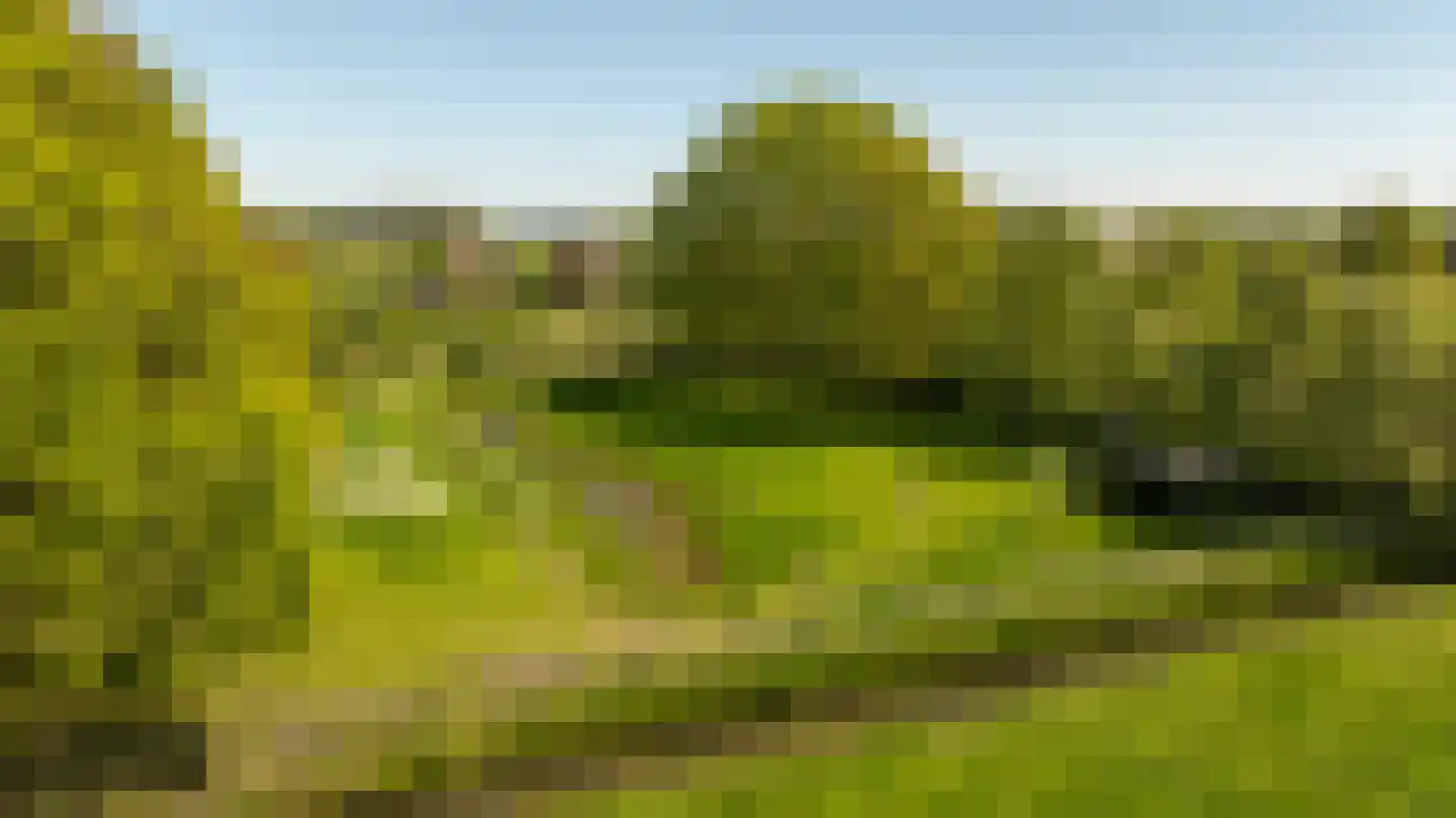Diefdijk 5 Zijderveld thumbnail 8