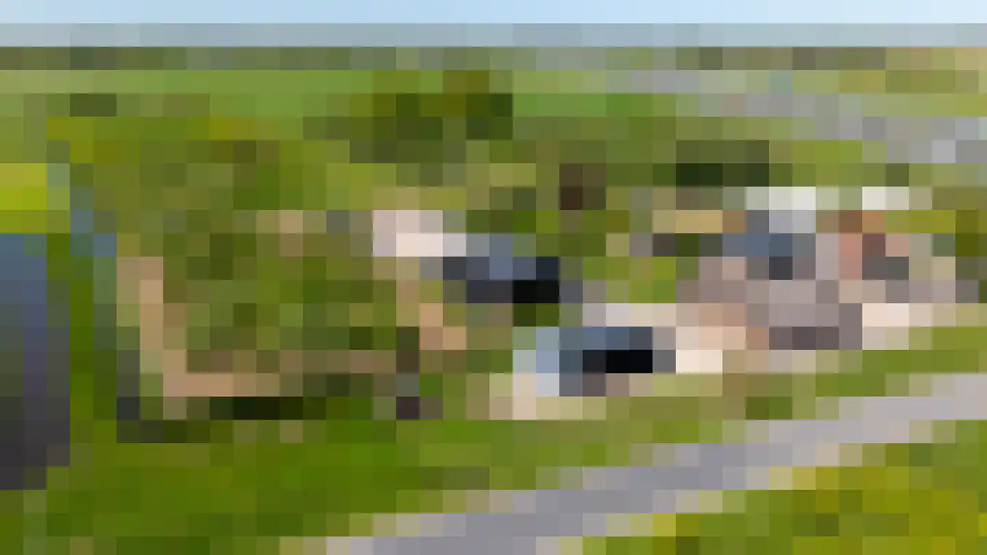 Diefdijk 5 Zijderveld thumbnail 9