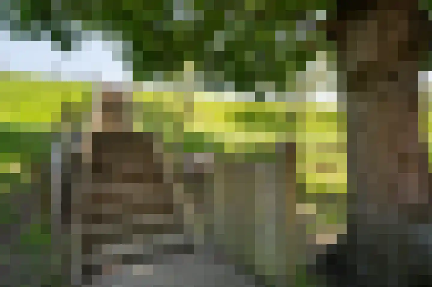 Diefdijk 7 Everdingen thumbnail 10