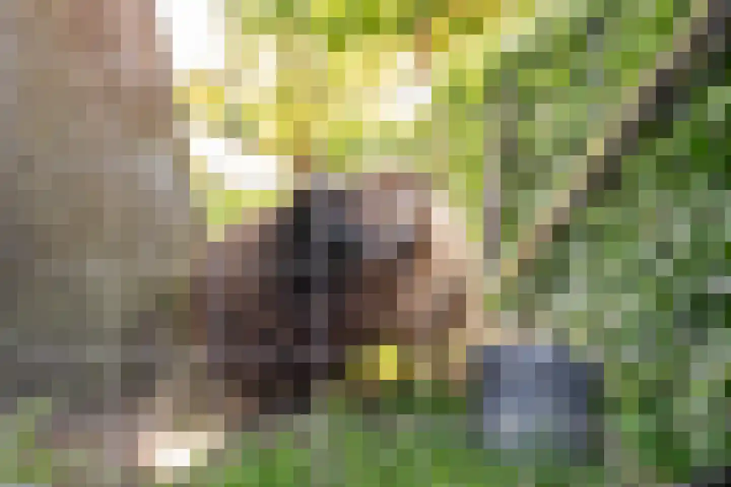Diefdijk 7 Everdingen thumbnail 11