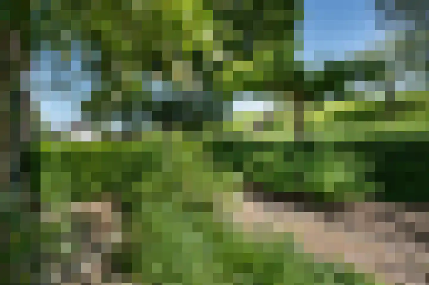 Diefdijk 7 Everdingen thumbnail 12