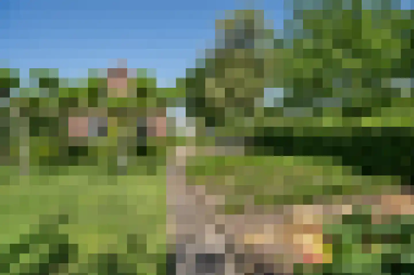 Diefdijk 7 Everdingen thumbnail 13
