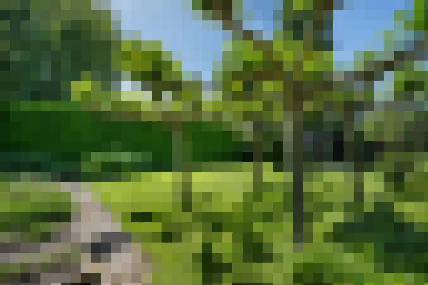 Diefdijk 7 Everdingen thumbnail 14