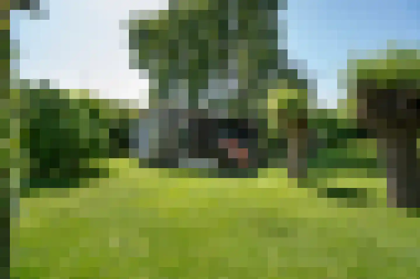 Diefdijk 7 Everdingen thumbnail 16