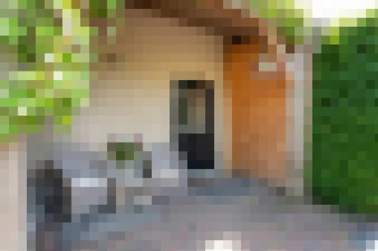 Diefdijk 7 Everdingen thumbnail 22
