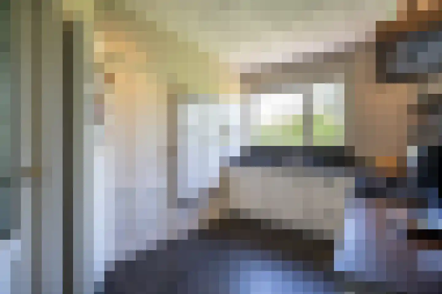 Diefdijk 7 Everdingen thumbnail 27