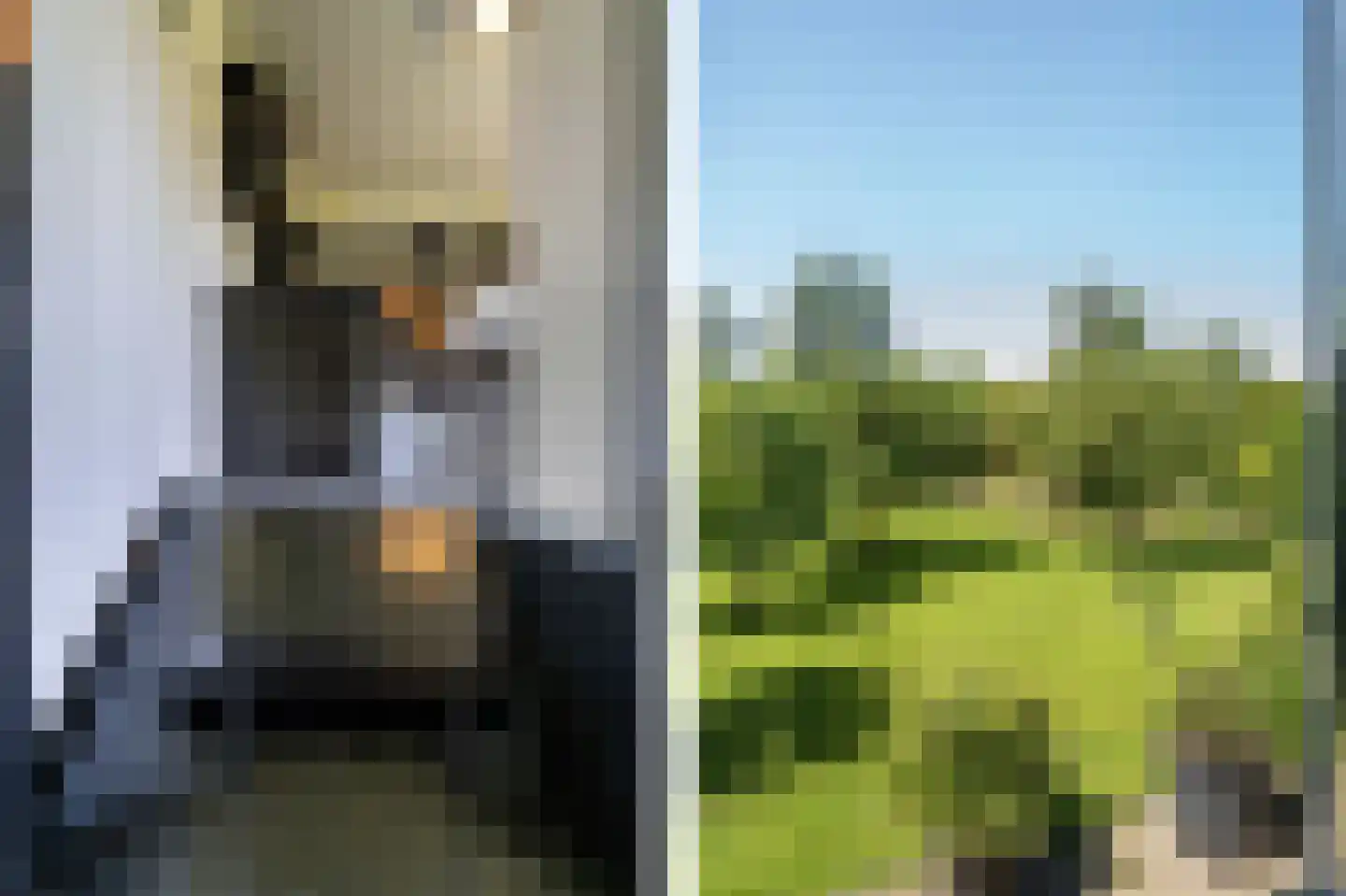 Diefdijk 7 Everdingen thumbnail 28