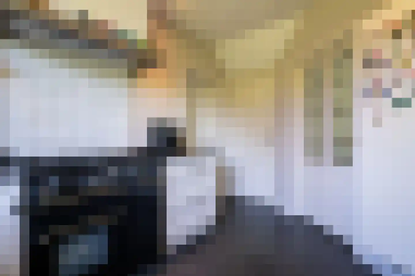 Diefdijk 7 Everdingen thumbnail 32