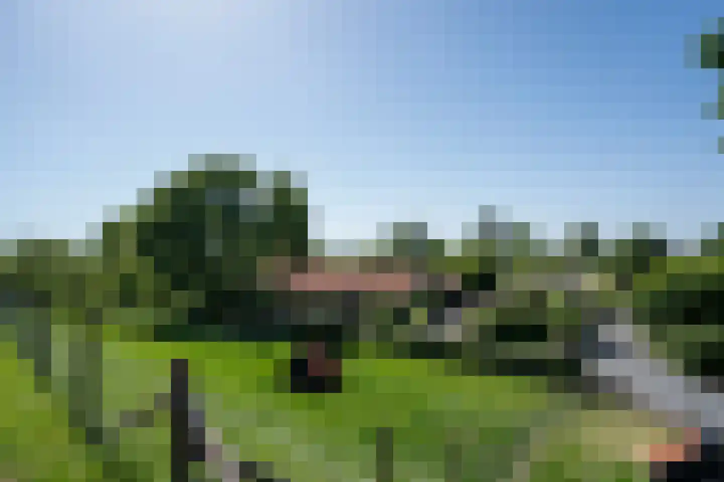 Diefdijk 7 Everdingen thumbnail 5