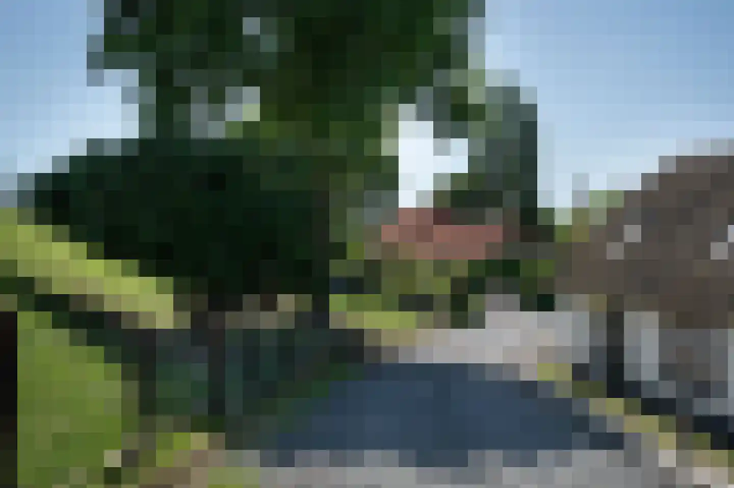 Diefdijk 7 Everdingen thumbnail 6