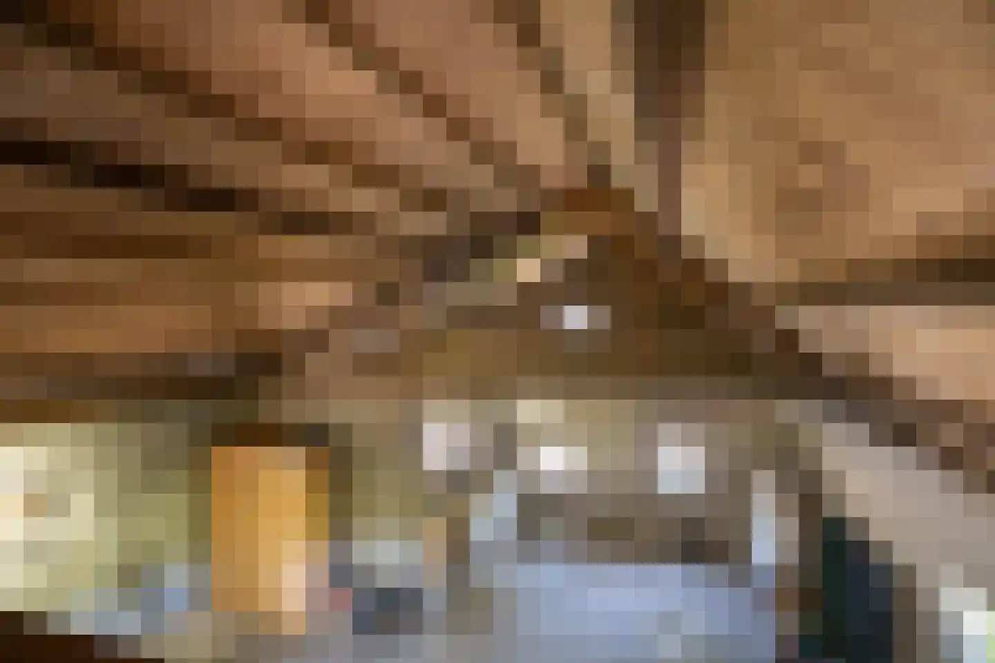 Diefdijk 7 Everdingen thumbnail 60