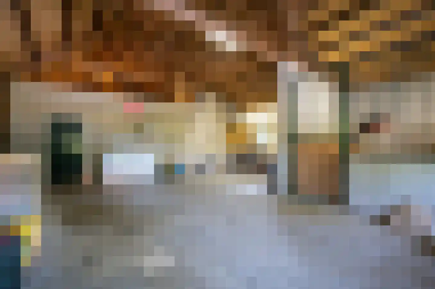 Diefdijk 7 Everdingen thumbnail 62