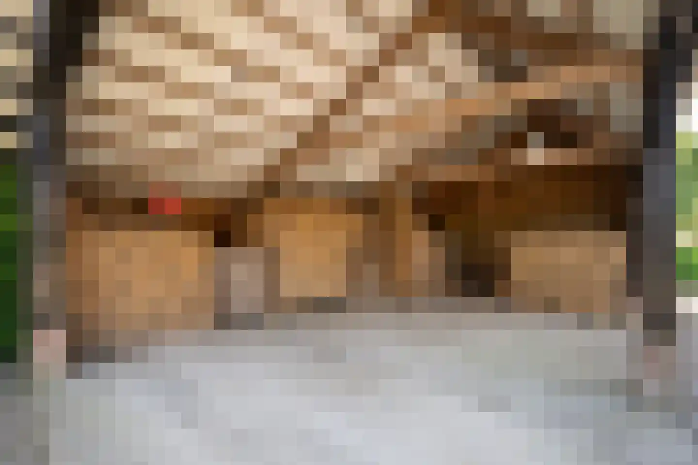 Diefdijk 7 Everdingen thumbnail 64