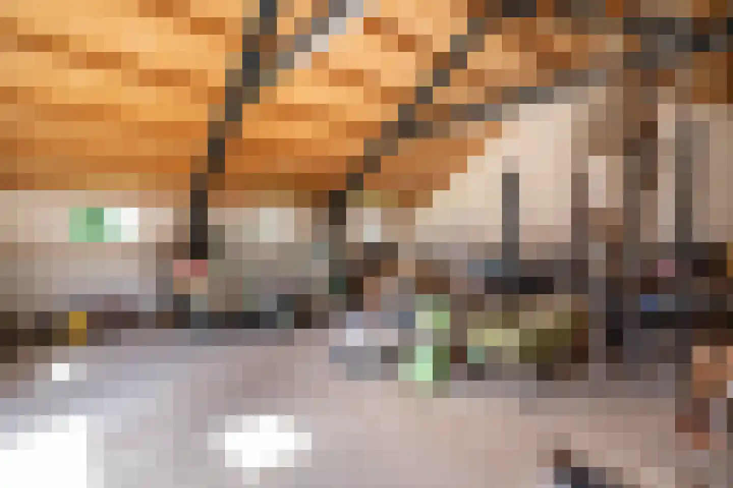 Diefdijk 7 Everdingen thumbnail 67