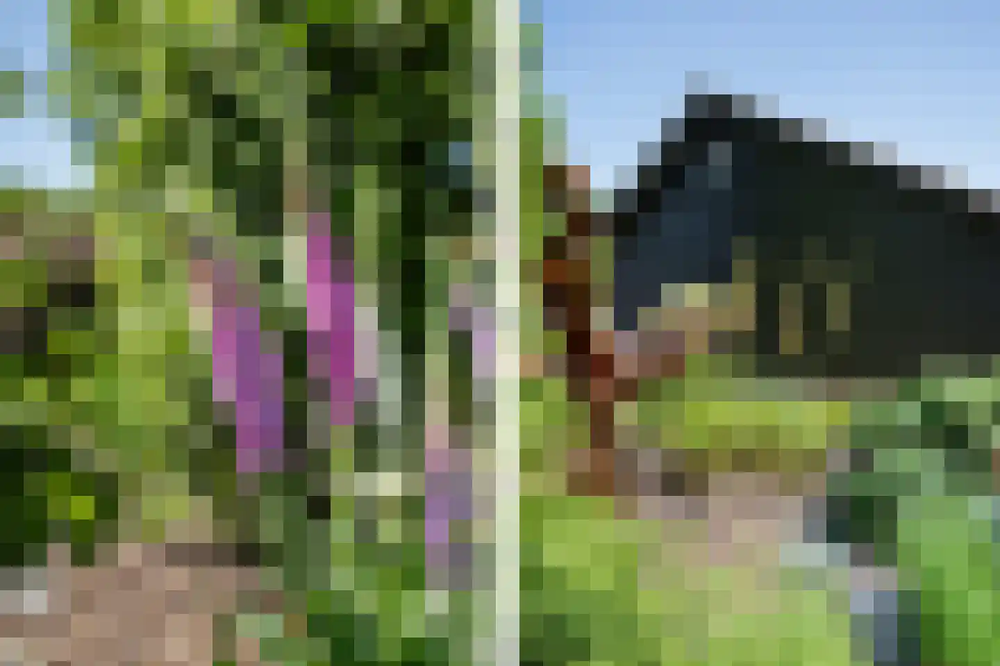 Diefdijk 7 Everdingen thumbnail 70