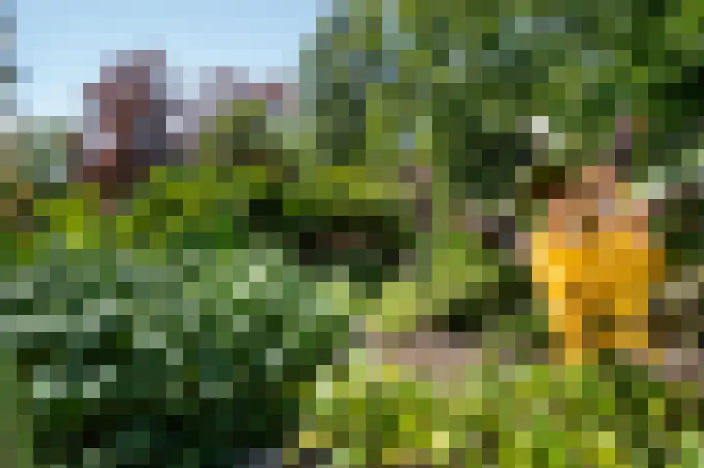 Diefdijk 7 Everdingen thumbnail 73