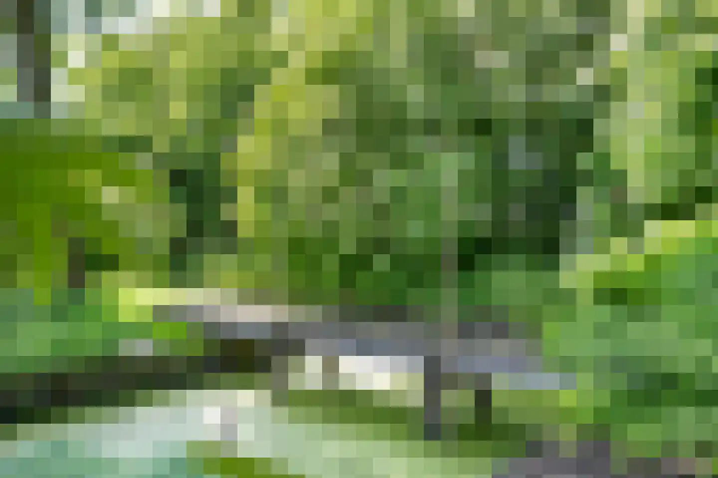 Diefdijk 7 Everdingen thumbnail 78