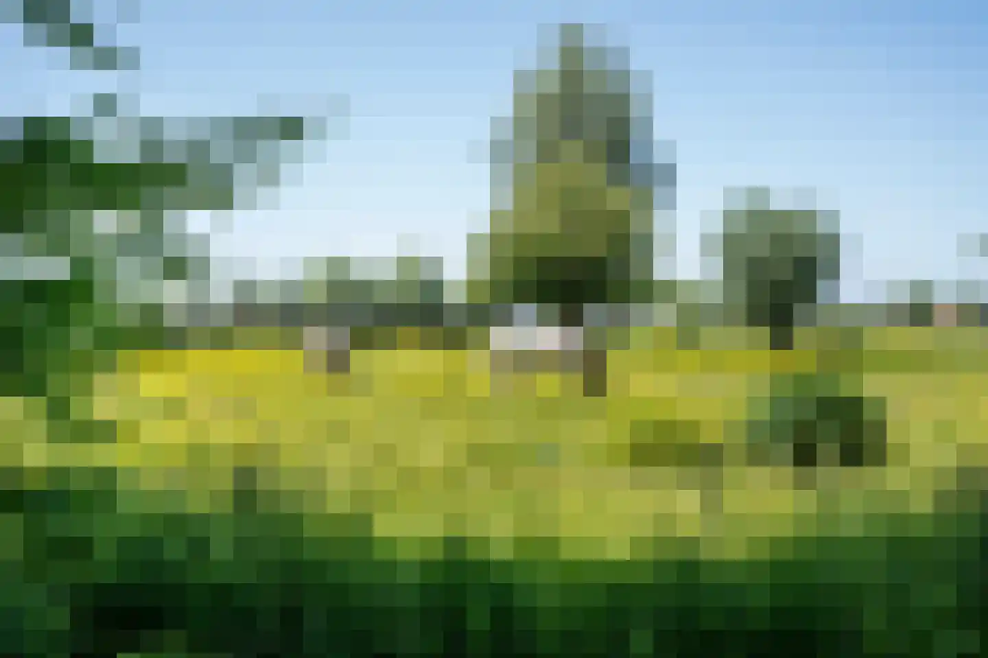 Diefdijk 7 Everdingen thumbnail 81