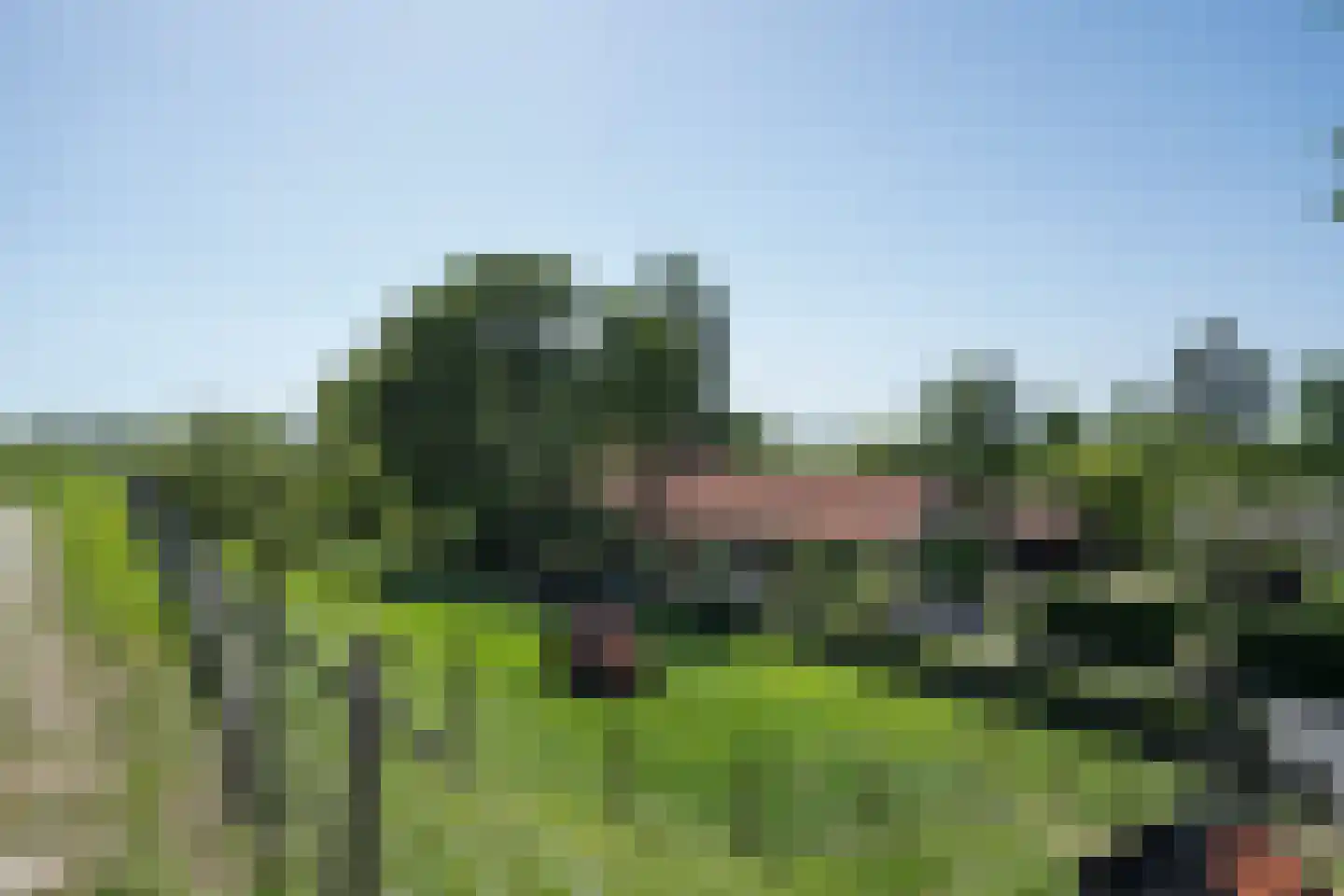 Diefdijk 7 Everdingen thumbnail 82