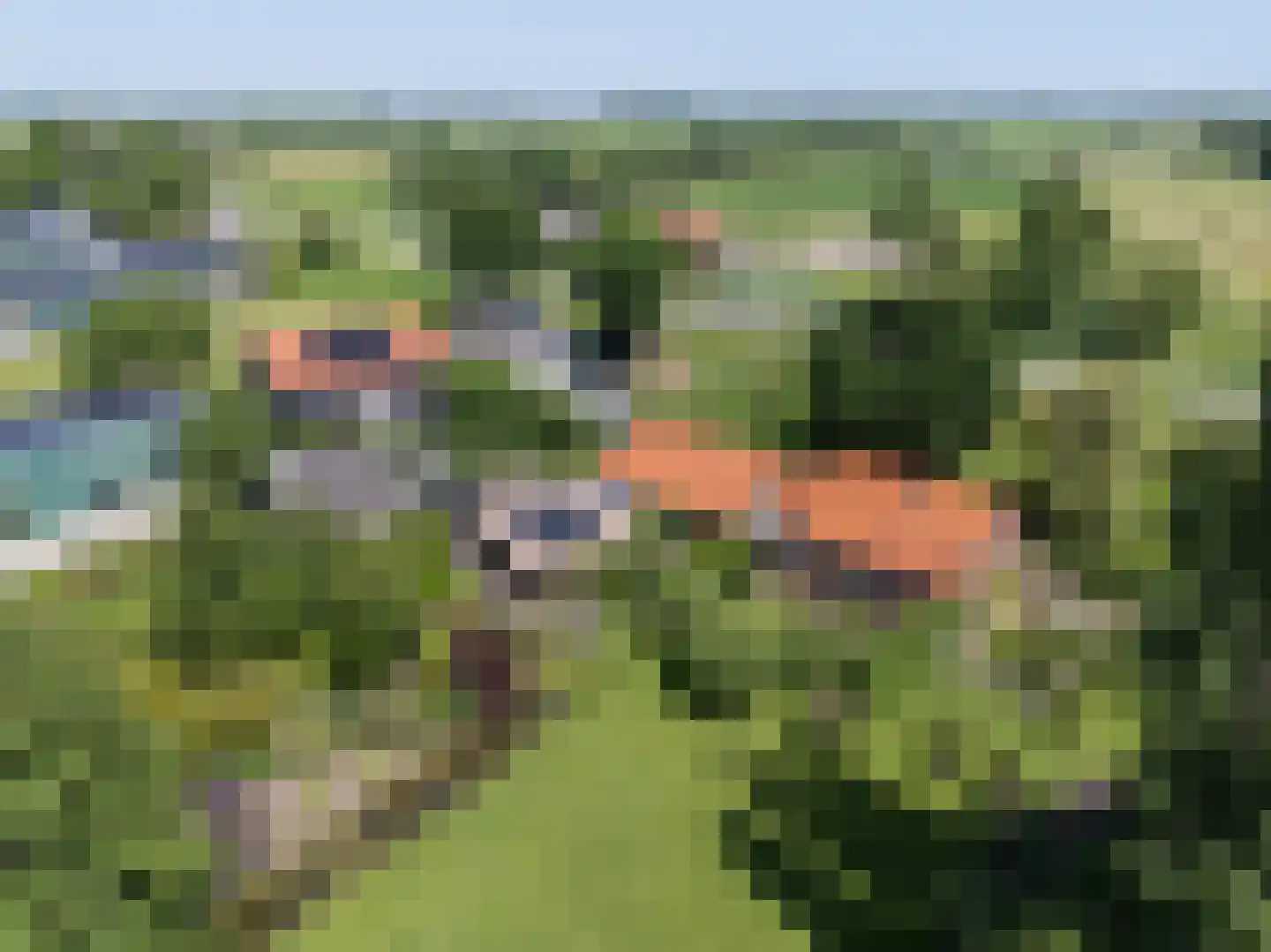 Diefdijk 7 Everdingen thumbnail 84