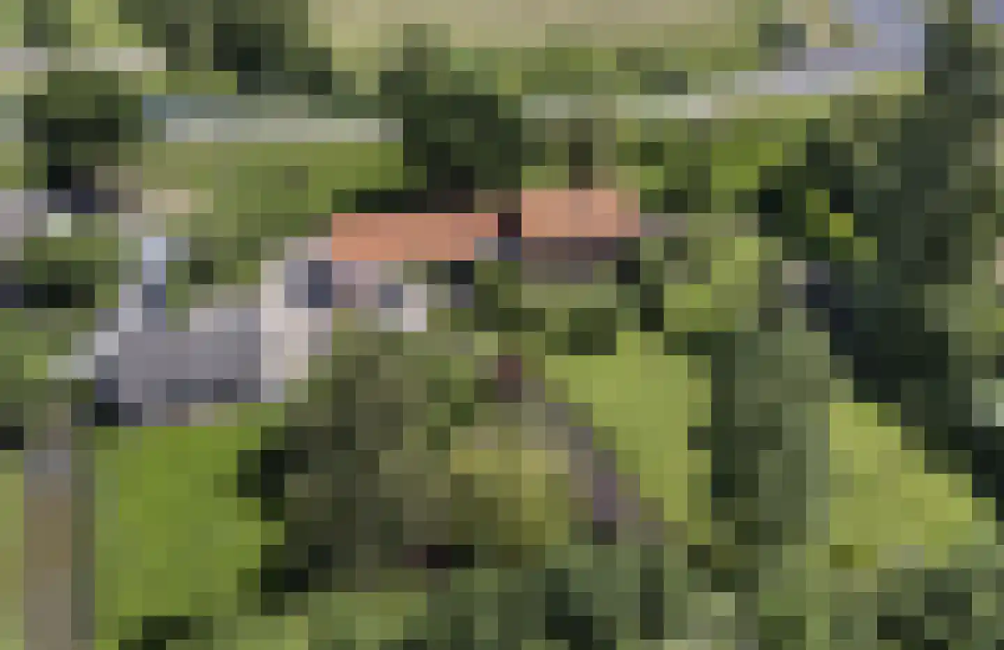 Diefdijk 7 Everdingen thumbnail 85